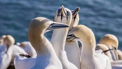 衢州最新找中介10分钟提取公积金苏州方法分析(最方便真实的衢州找中介10分钟提取公积金苏州能提取吗方法)