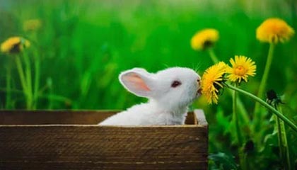 衢州最新24小时上门回收公积金卡方法分析(最方便真实的衢州24小时上门回收公积金卡电话方法)